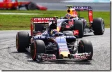 Max Verstappen(Toro Rosso) precede una Red Bull
