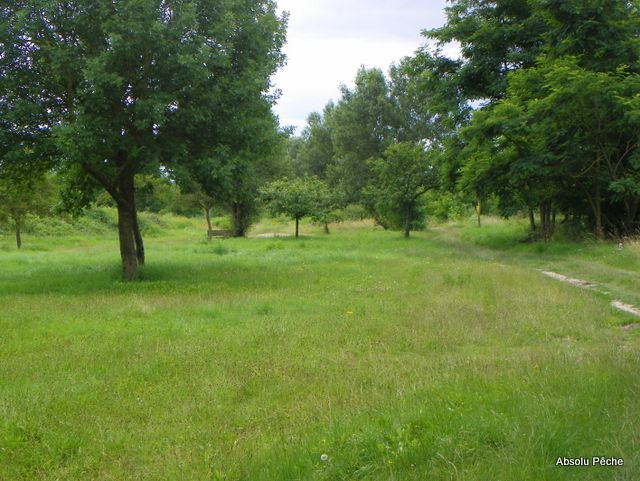 Loire au niveau d&#039;Épercieux-Saint-Paul, amont, rive droite photo #1021