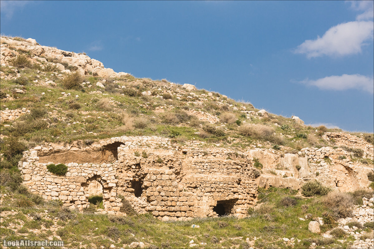 LookAtIsrael.com - Ущелья Харитона и Суккийская лавра в ущелье Ткоа | Wadi Tekoa and Hariton Cave | נחל תקוע מערת חריטון