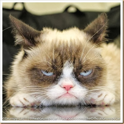 grumpy cat grumpy cat