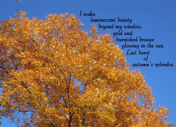 fall poem 3