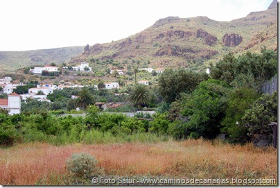 5845 Pico las Nieves-Temisas 5845 Pico las Nieves-Temisas