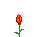 4.gif
