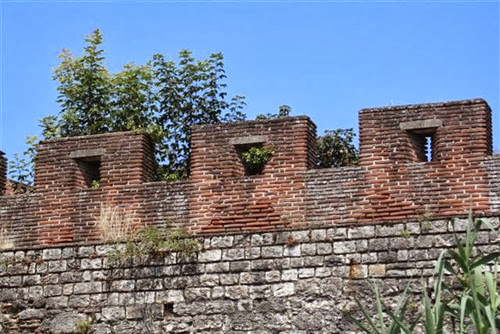 20090826 (3) (Small)