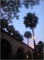 Royal Palms