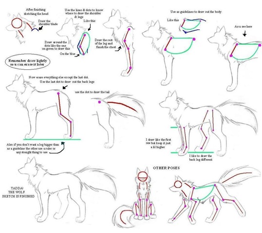 Desenhando lobos Part 3