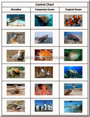 FREE Animals in the Marine Ecosystem Cards