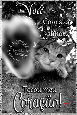 GATINHO.gif