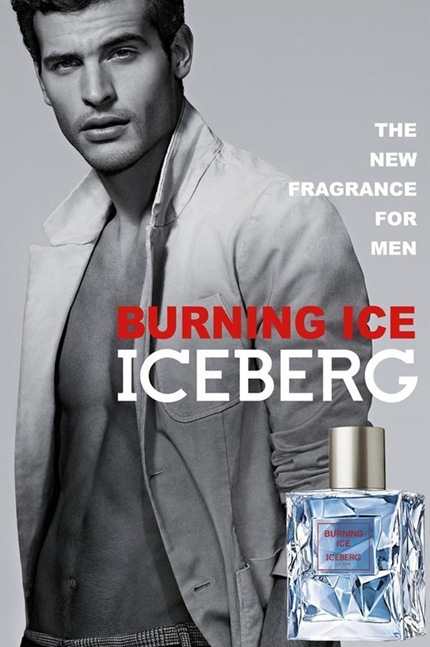 Mathias Chico Hernandez for Iceberg Burning Ice