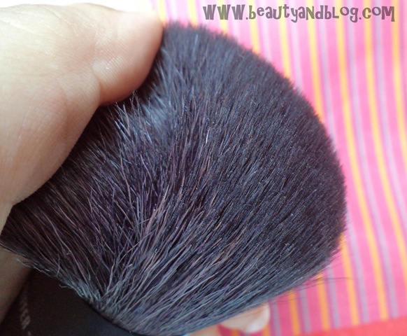 [DSC00380%255B6%255D.jpg]