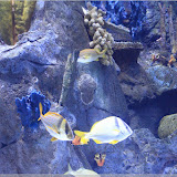 Aquarium