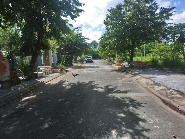 Biệt thự View công viên khu dân cư văn minh Quận 9 - 04 Biệt thự View công viên khu dân cư văn minh Quận 9 - 04