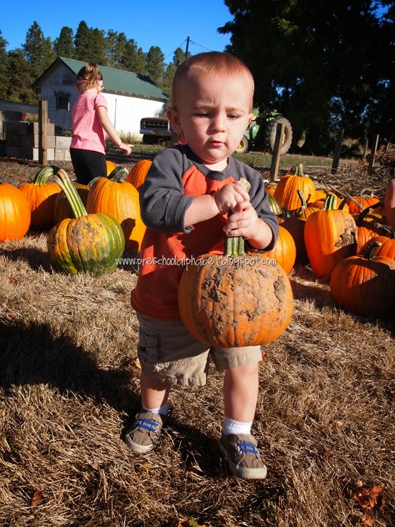 [P1019149%255B6%255D.jpg]