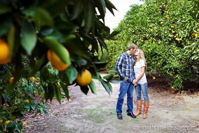 _Samantha_Melanson_citrus grove engagement