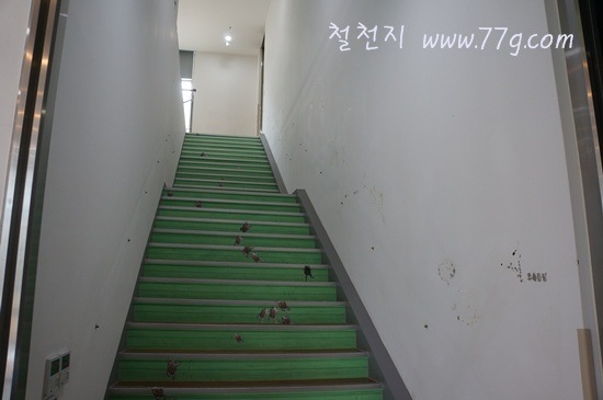 [77gDSC05688-20121228-133038%255B3%255D.jpg]