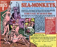 sea-monkeys