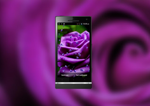 Purple Rose HD LiveWallpaper