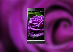 Purple Rose HD LiveWallpaper APK スクリーンショット画像 #1