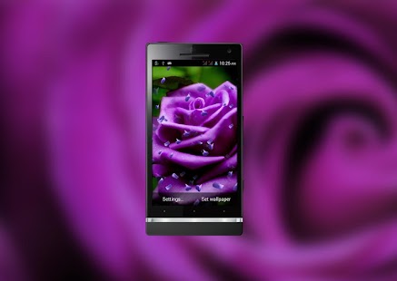 Free Purple Rose HD LiveWallpaper APK