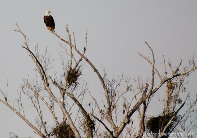 DSC_0182 DSC_0182