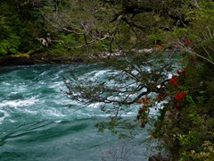 The mighty Futaleufu river, Chile.