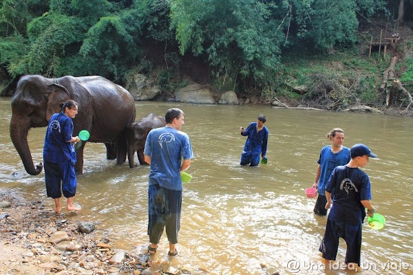 elefantes-negocio-tailandia-montar-unaideaunviaje.com-4.jpg