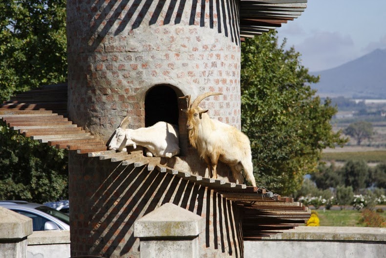 goat-tower-6
