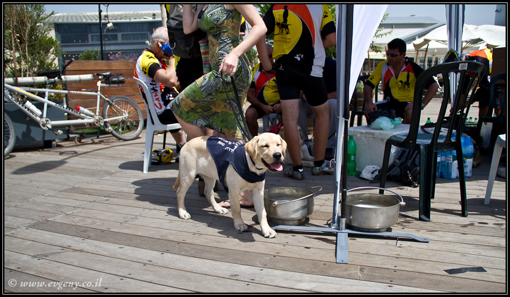 LookAtIsrael.com: Дома изнутри: ...и еще вопрос кто из нас неполноценен... (foto israel фото тель авив порт дома изнутри )