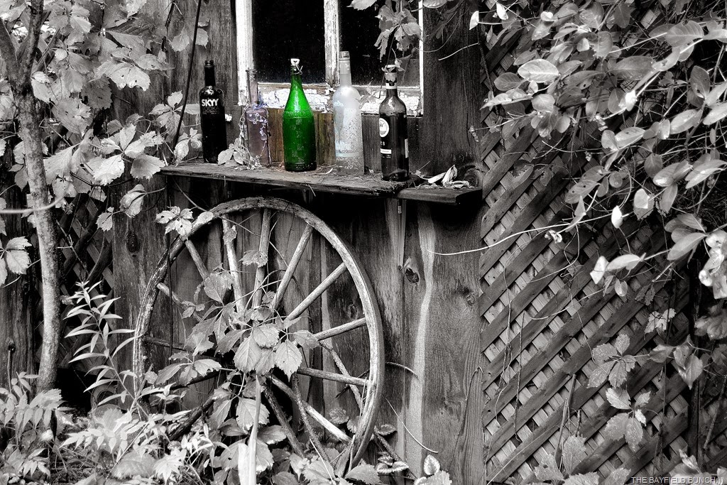 [DSC_0007-004%255B4%255D.jpg]