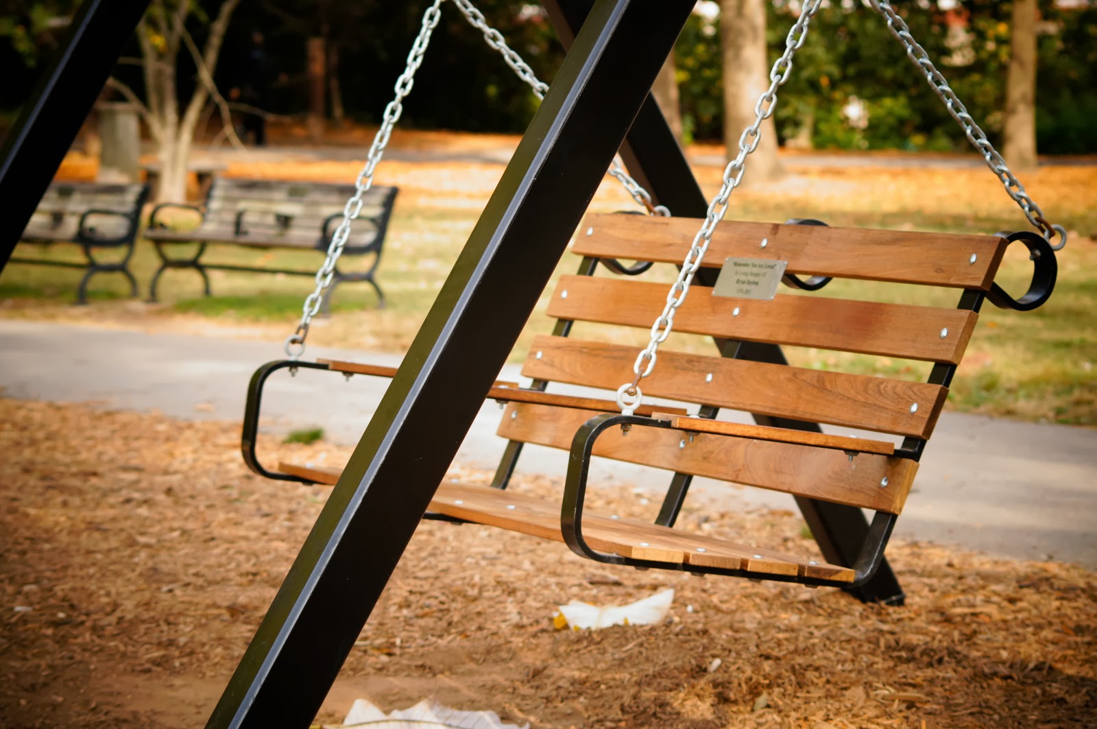 [park-swing-free-pictures-1%2520%25282694%2529%255B3%255D.jpg]
