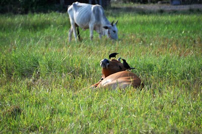 DSC_0845.JPG