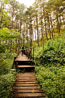 eco trail camp john hay