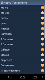 Spanish Holy Bible poster 4