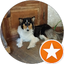 uwe heinicke profile picture