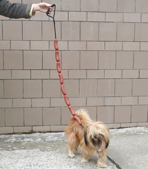 Picture of Image result for Leash with smooth operating mechanism easy