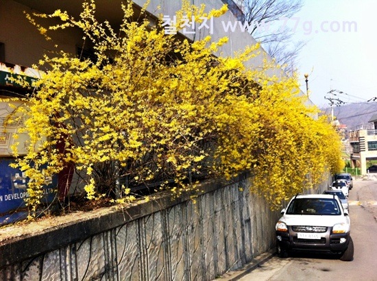 [IMG_39443.jpg]