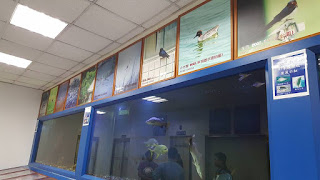 Các bể cá được cho là sống tốt trong môi trường nước thải ra biển của nhà máy. Các bể cá được cho là sống tốt trong môi trường nước thải ra biển của nhà máy.