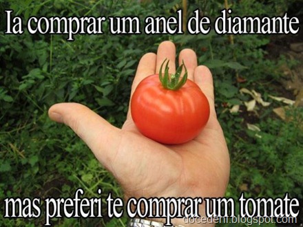 tomates13