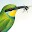 Sasol eBirds Download on Windows