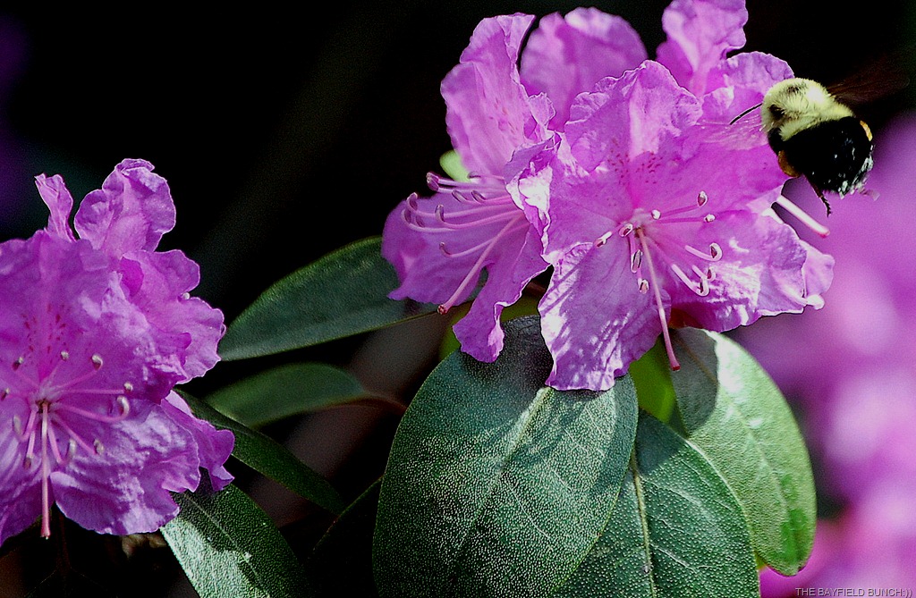 [DSC_2118%255B11%255D.jpg]