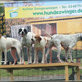 was stimmt hier nicht?