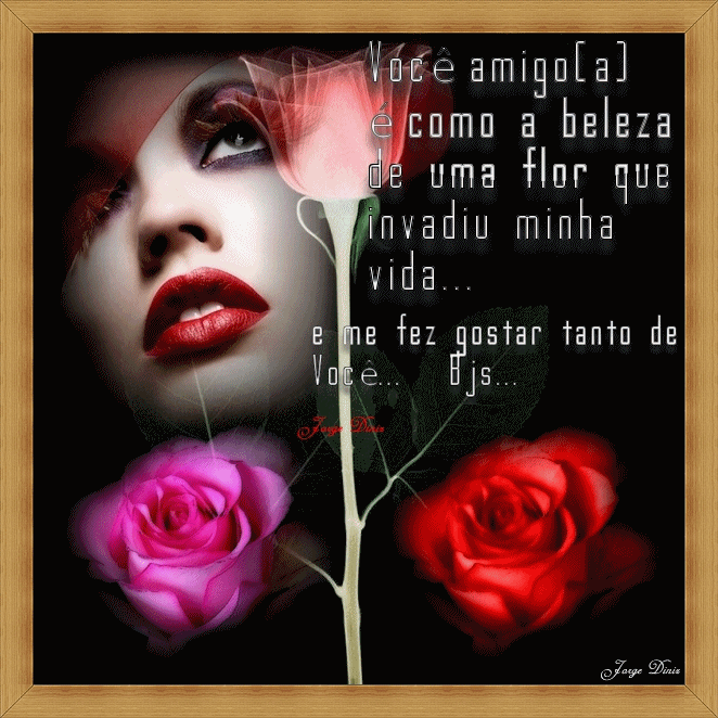 VAmigo1.gif