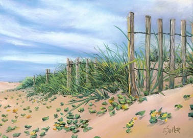 Beach-dunes-450