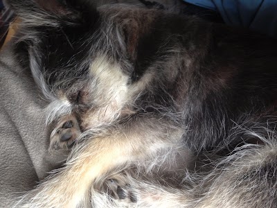 2014-08-29 08.45.08.jpg