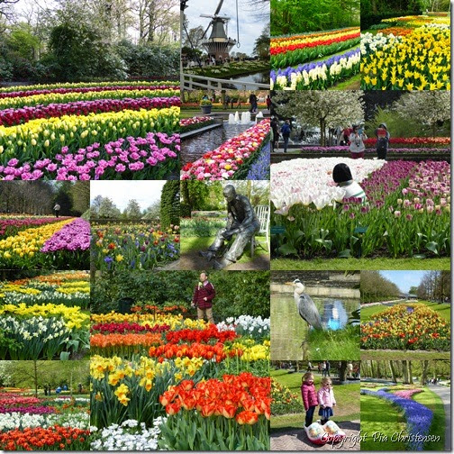 Keukenhof 