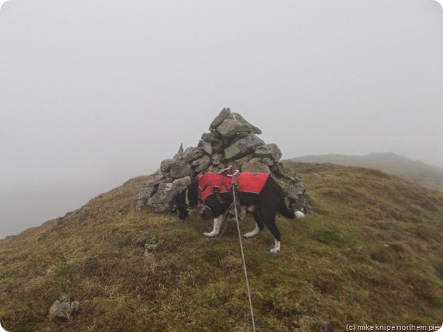mount ida summit cairn and dog
