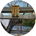 金山真司 金山真司