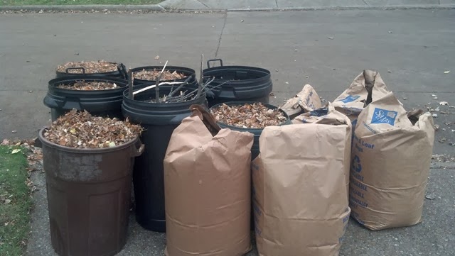 [7%2520Plastic%2520containers%2520and%25205%2520Bags%2520of%2520Leaves.%255B3%255D.jpg]