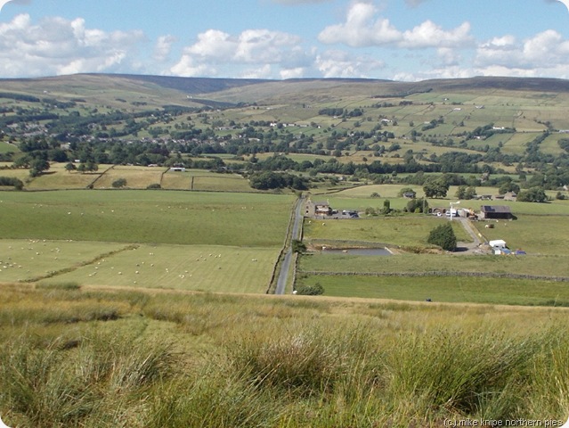 returning to teesdale