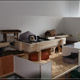 fast Perfekt (das Brett links sollte eigentlich auch Plexiglas sein)